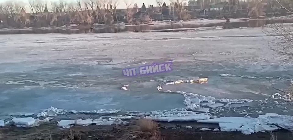 ��� ����������. ��� �� ��� ��������, �������� "�� �����" �� ������� �� ����� �����������