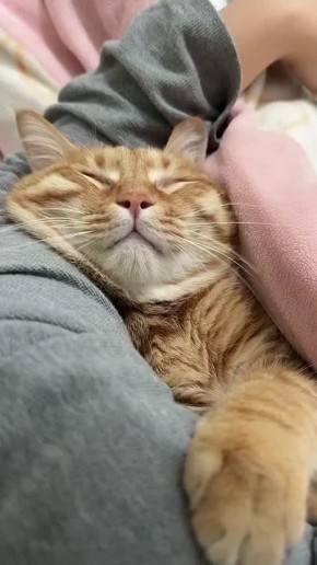 Доброе утро, Алтайский край!