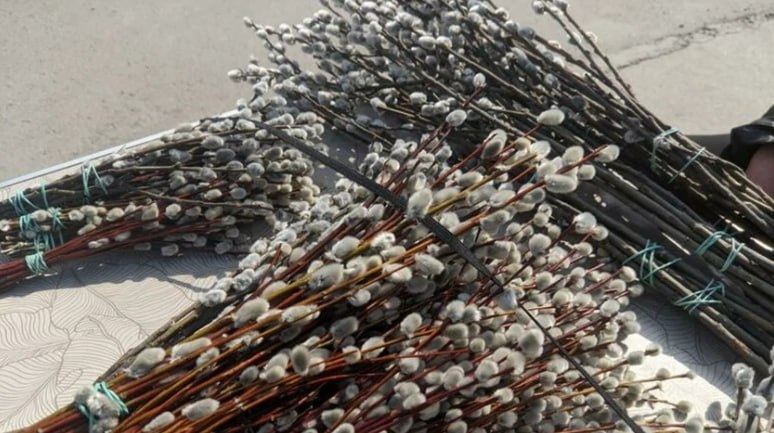 Сегодня Вербное воскресенье