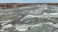 Лёд тронулся на реке Бия. Видео: Бийск 22