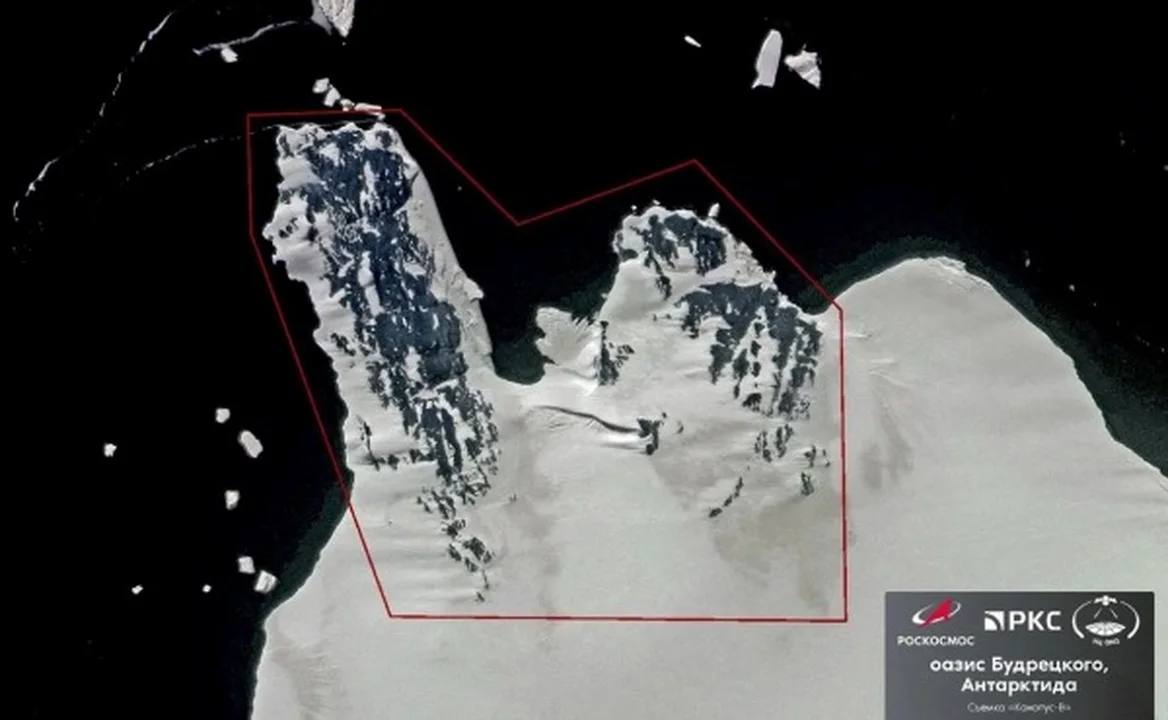 Российские ученые открыли новый оазис в Антарктиде