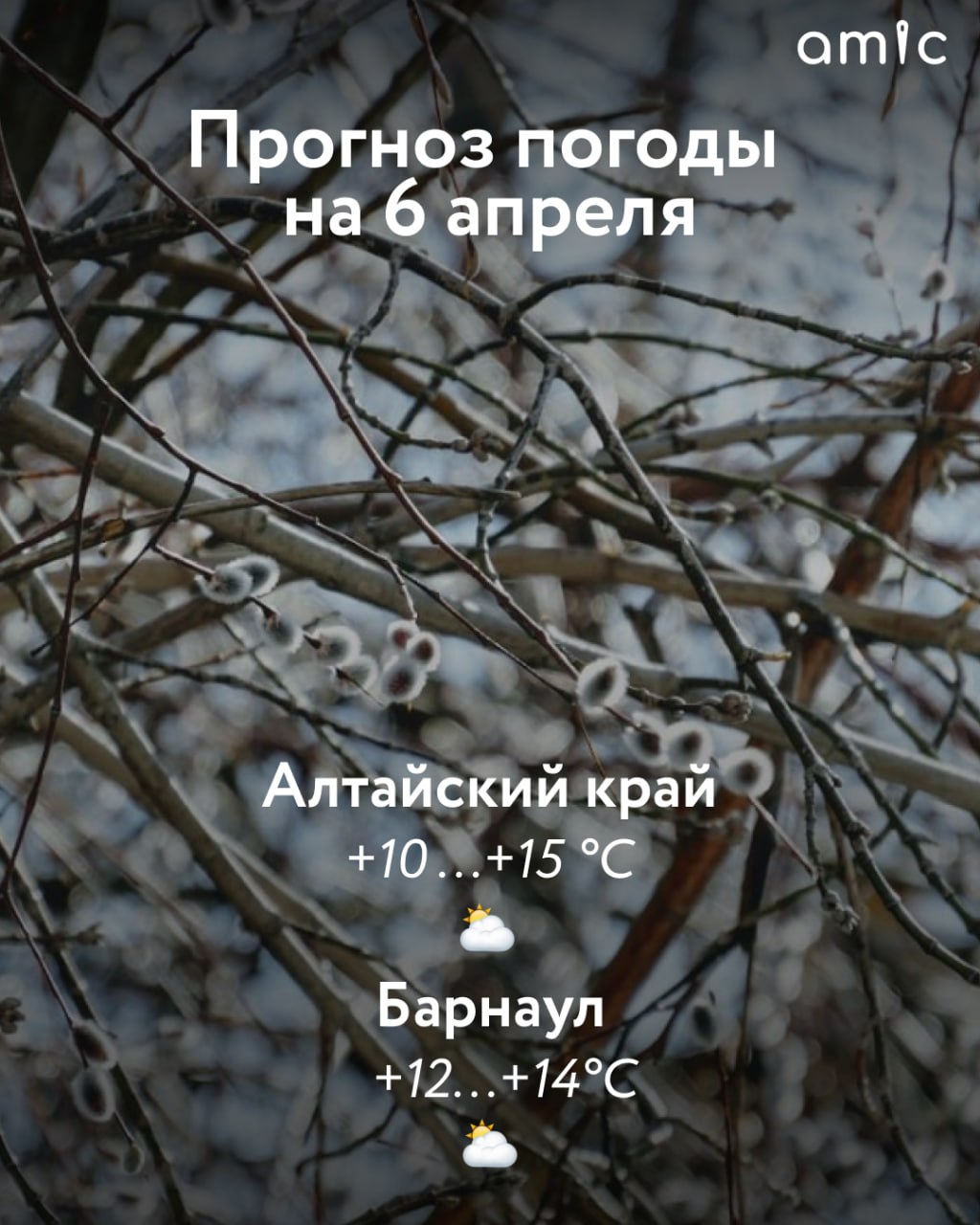 До +20 градусов потеплеет в южных районах Алтайского края днем 6 апреля, следует из прогноза регионального Гидрометцентра