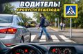 В целях повышения уровня защищенности участников дорожного движения, недопущения дорожно-транспортных происшествий на пешеходных переходах, укрепления транспортной дисциплины водителей и пешеходов Госавтоинспекция города...