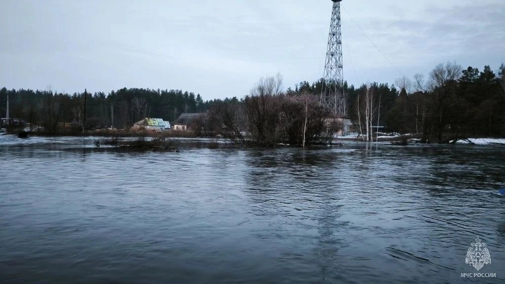 В селе Черемное Павловского района размыло насыпную дорогу вдоль озера В селе Черемное Павловского района размыло насыпную дорогу вдоль озера