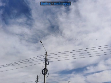 ������ ����� ����������, ��� �� ���� �������� ������ ���� � �������