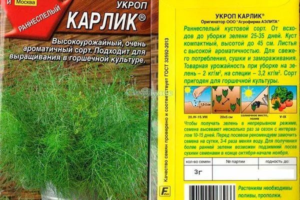 ����� ������: ������ � ��������������� ���� ��� ������ �������