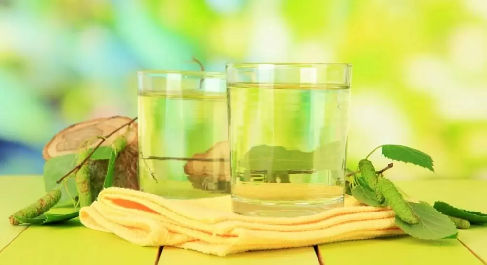 Березовый сок: удивительные преимущества и время для употребления