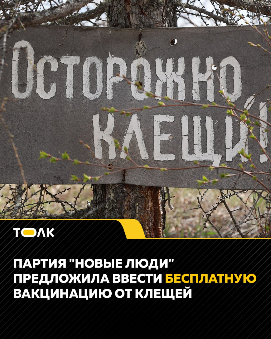 "Новые люди" выступили за бесплатную вакцинацию от клещей в опасных регионах России