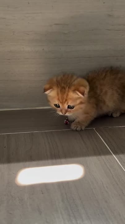 Доброе утро, Алтайский край!