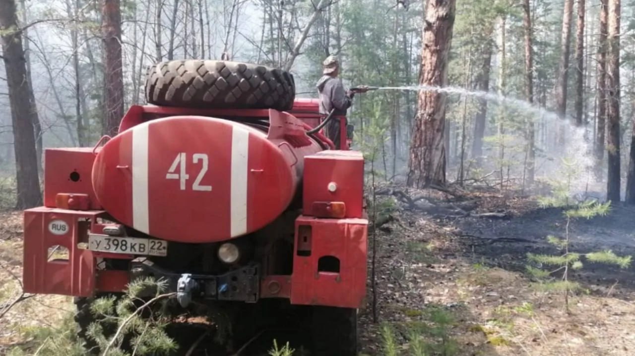 В Алтайском крае готовятся к введению пожароопасного сезона