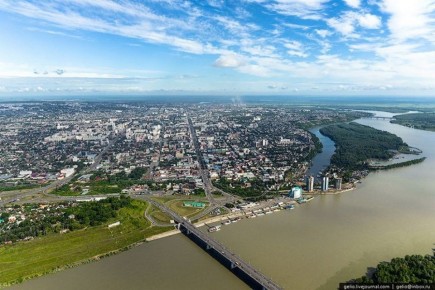 61,8 миллиона рублей направили в Алтайском крае на реализацию федерального проекта «Сохранение лесов» в минувшем году