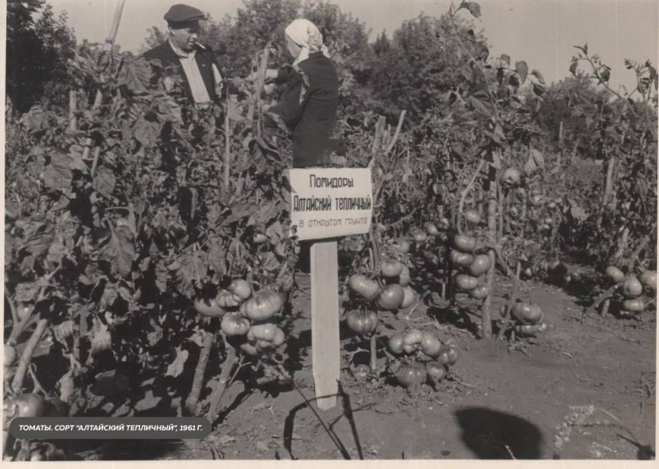 ������� ������ � ��� �� ����, � ��������� �������� �����