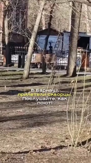 ��� � ������� ���������!. ����, ������� ������� ���� ���� � �������� �����������, �������� � ����� "����������"