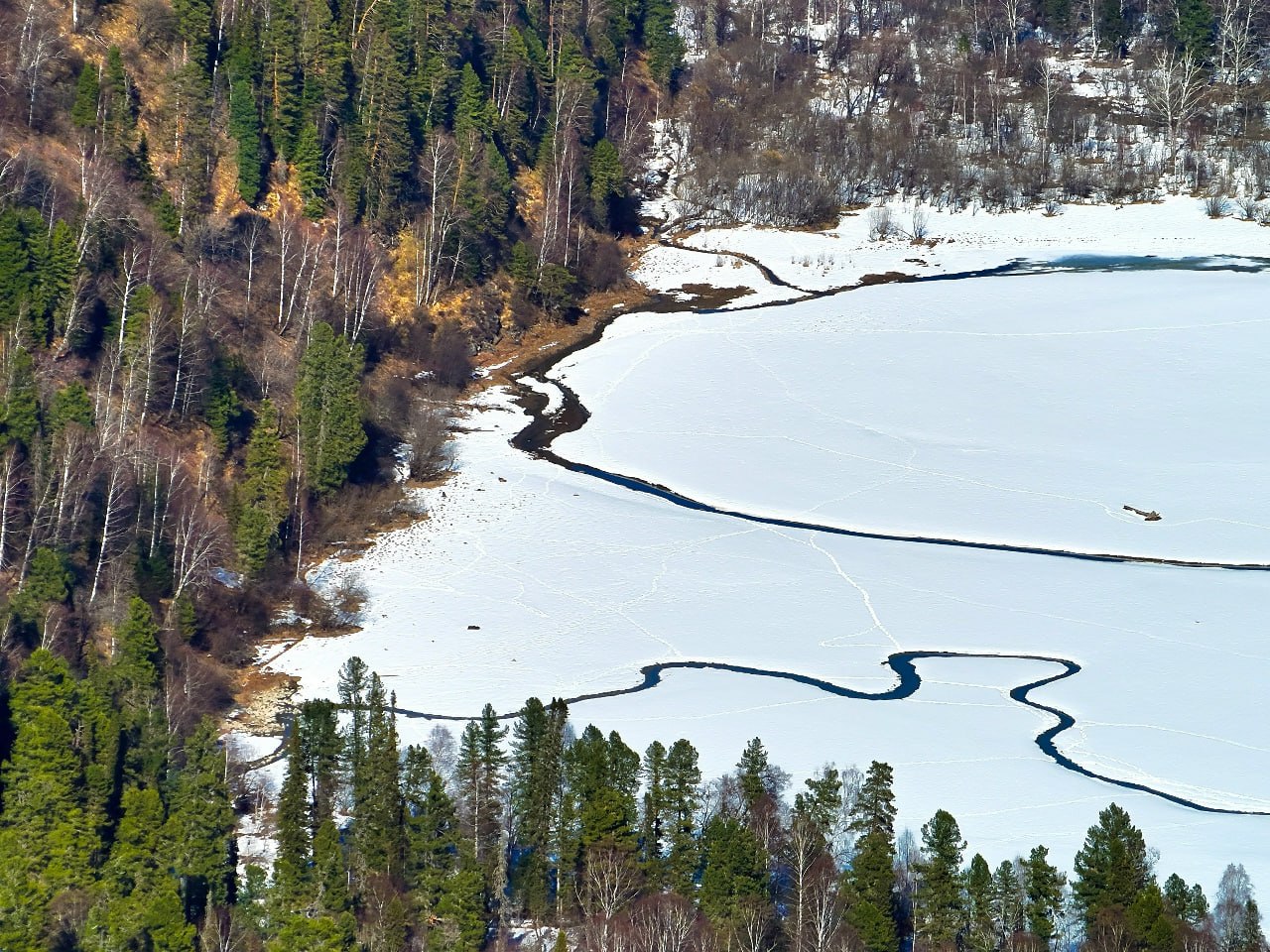 Телецкое озеро стремительно освобождается ото льда Телецкое озеро стремительно освобождается ото льда