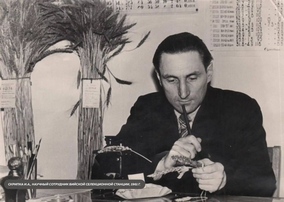 ������� ������ � ��� �� ����, � ��������� �������� �����