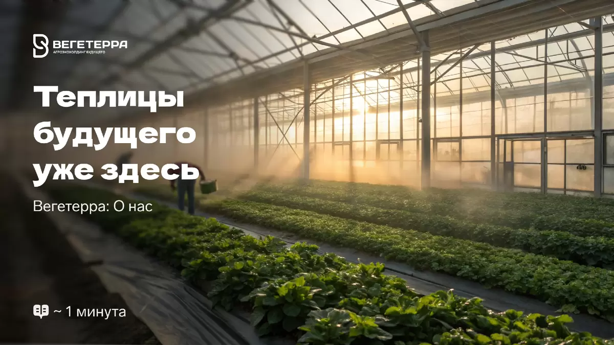 Теплицы нового поколения: как инновации меняют агробизнес