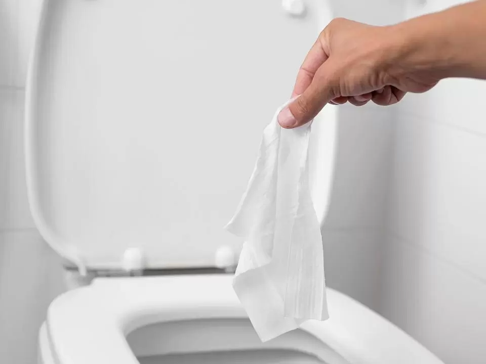 Как защитить свой туалет от засоров и сэкономить на сантехниках