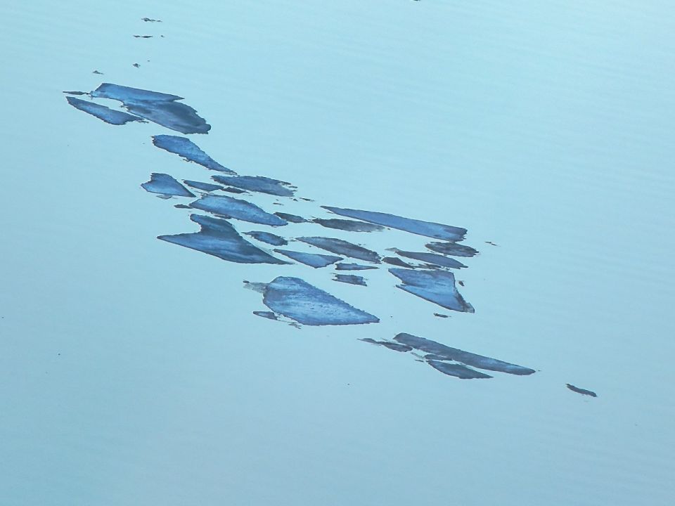 �������� ����� ������������ ������������� ��� ����