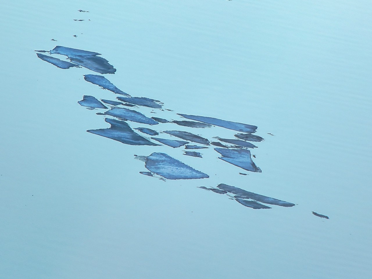 Телецкое озеро стремительно освобождается ото льда Телецкое озеро стремительно освобождается ото льда