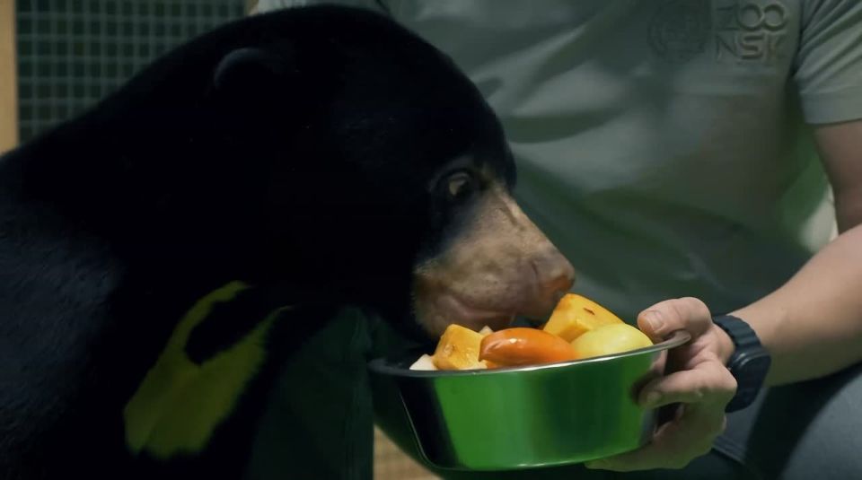 ��������� ��������� ��������� � ������������� ��������