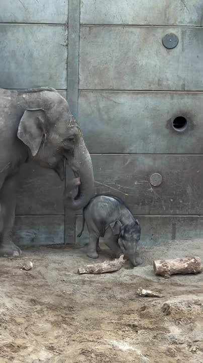 Доброе утро, Алтайский край!