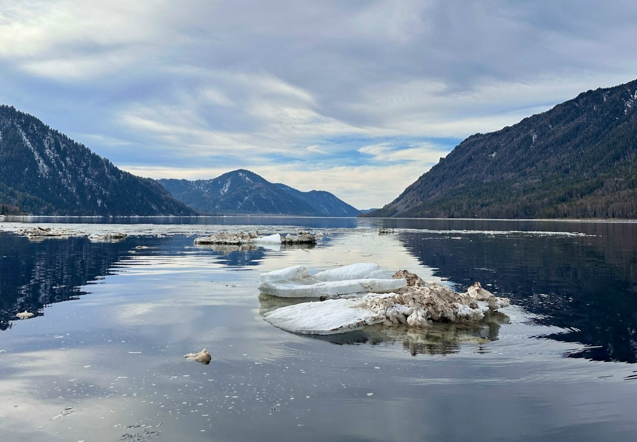 Телецкое озеро стремительно освобождается ото льда Телецкое озеро стремительно освобождается ото льда