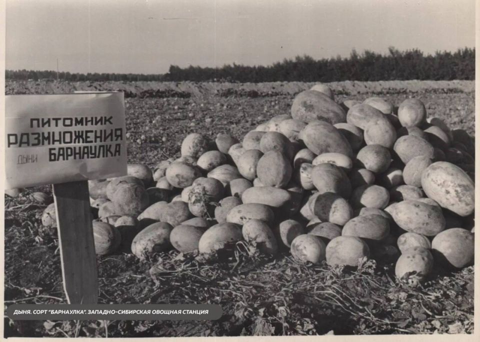 ������� ������ � ��� �� ����, � ��������� �������� �����