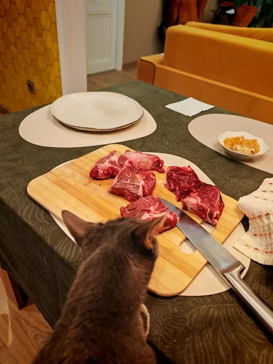 Готовим с Линаром: медальоны с луком в миндальном молоке