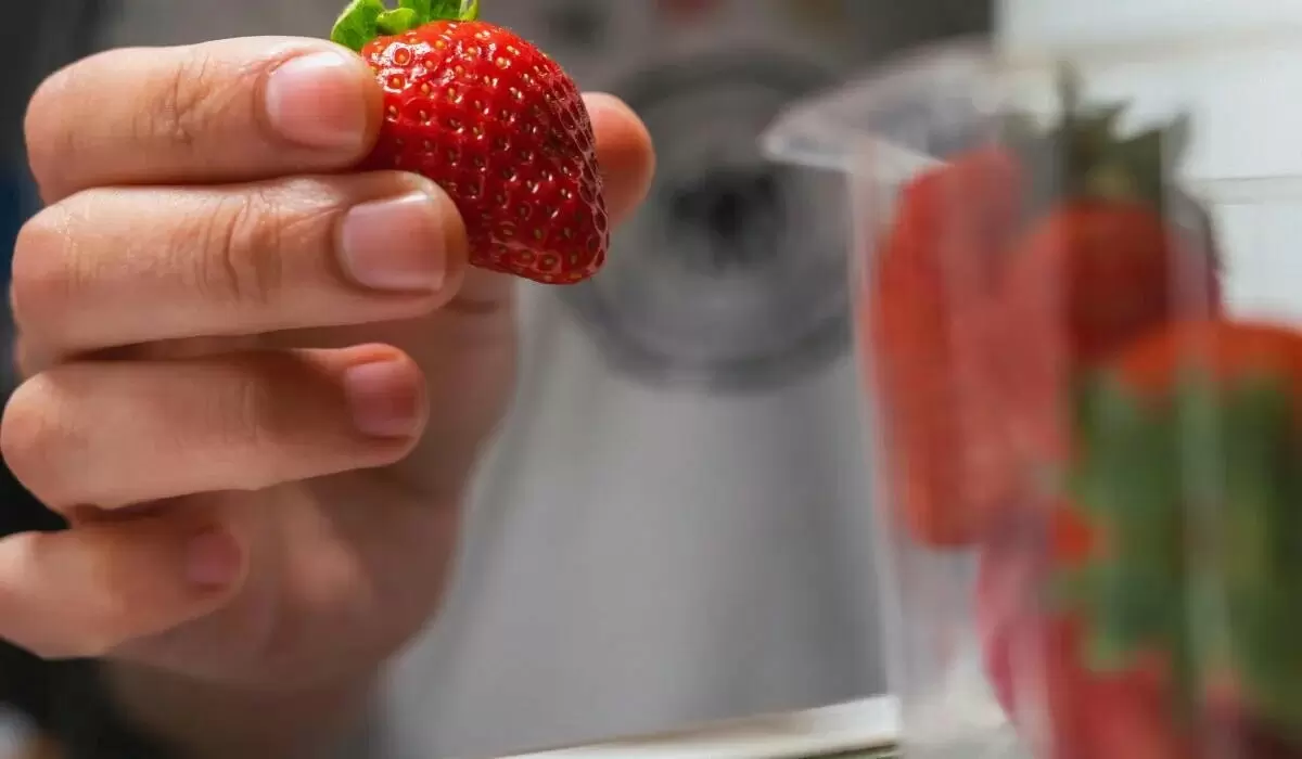 Секреты долгого хранения клубники: как сохранить свежесть на две недели