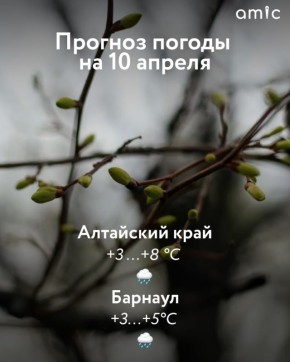 Доброе утро! О погоде в Алтайском крае 10 апреля