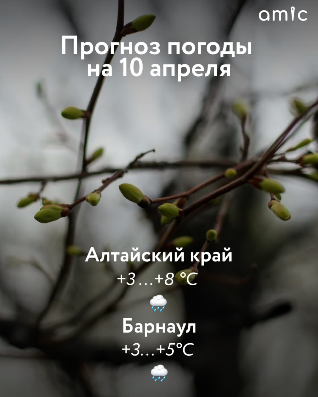 Доброе утро! О погоде в Алтайском крае 10 апреля