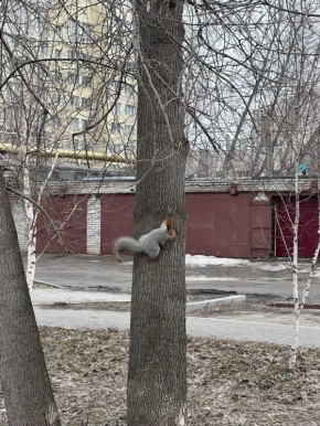 Доброе утро, Алтайский край!