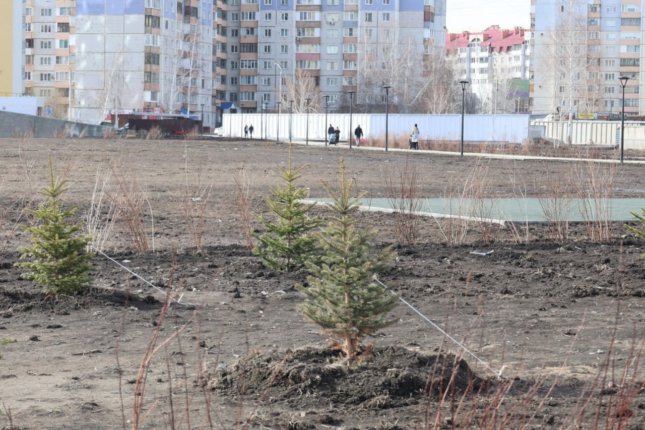 Гаражи, дорожки и елки. Как выглядит территория за ТЦ "Европа" в Барнауле после зимы Гаражи, дорожки и елки. Как выглядит территория за ТЦ "Европа" в Барнауле после зимы