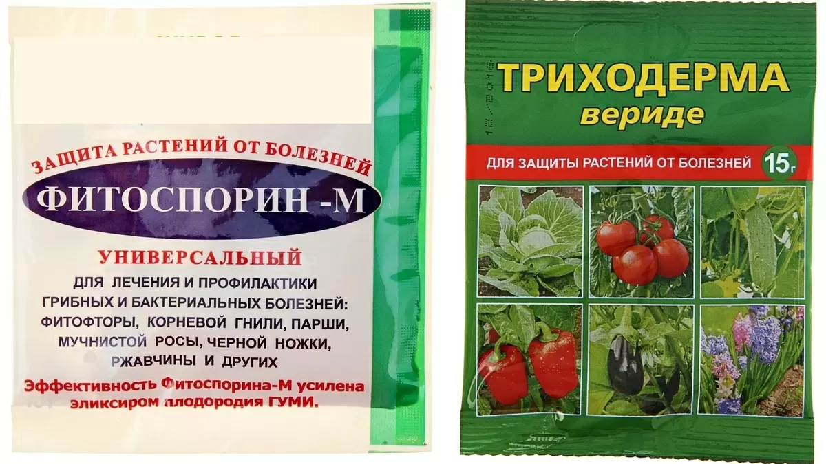 Как выбрать защитный препарат для рассады перца в марте: подробное руководство