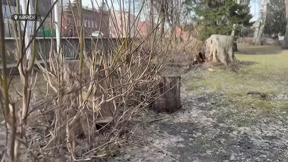 ��������, ��������������� � ���� ����������