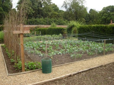 Как выбрать идеальное место для компоста: 5 важных рекомендаций