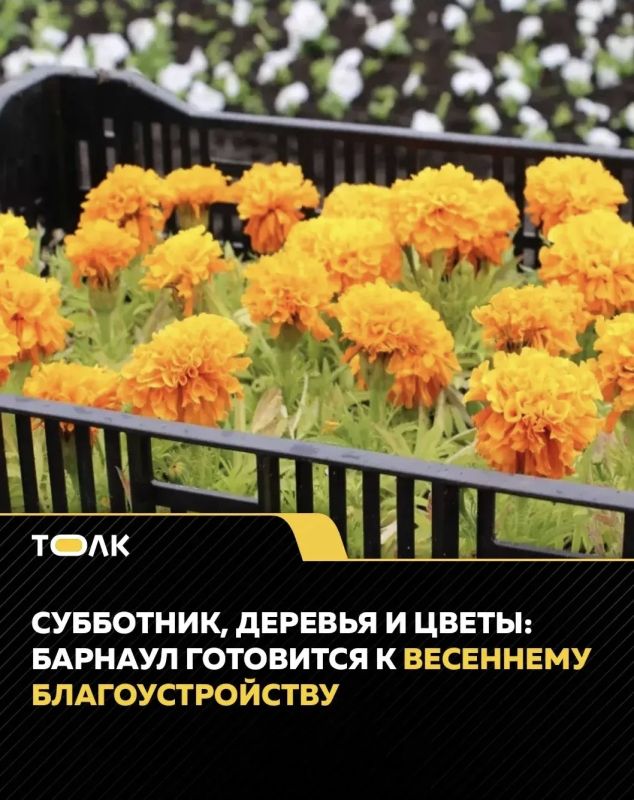 ������ �������� ��������� � ���������� �������������� ����������