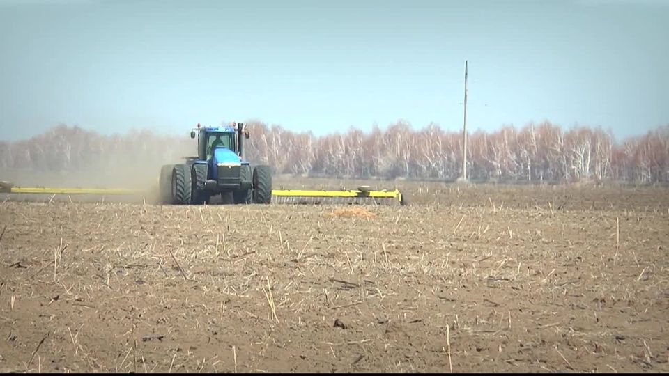 �������������������� ������� ������� �������� ��������� ������� �� ���� ���������� �����