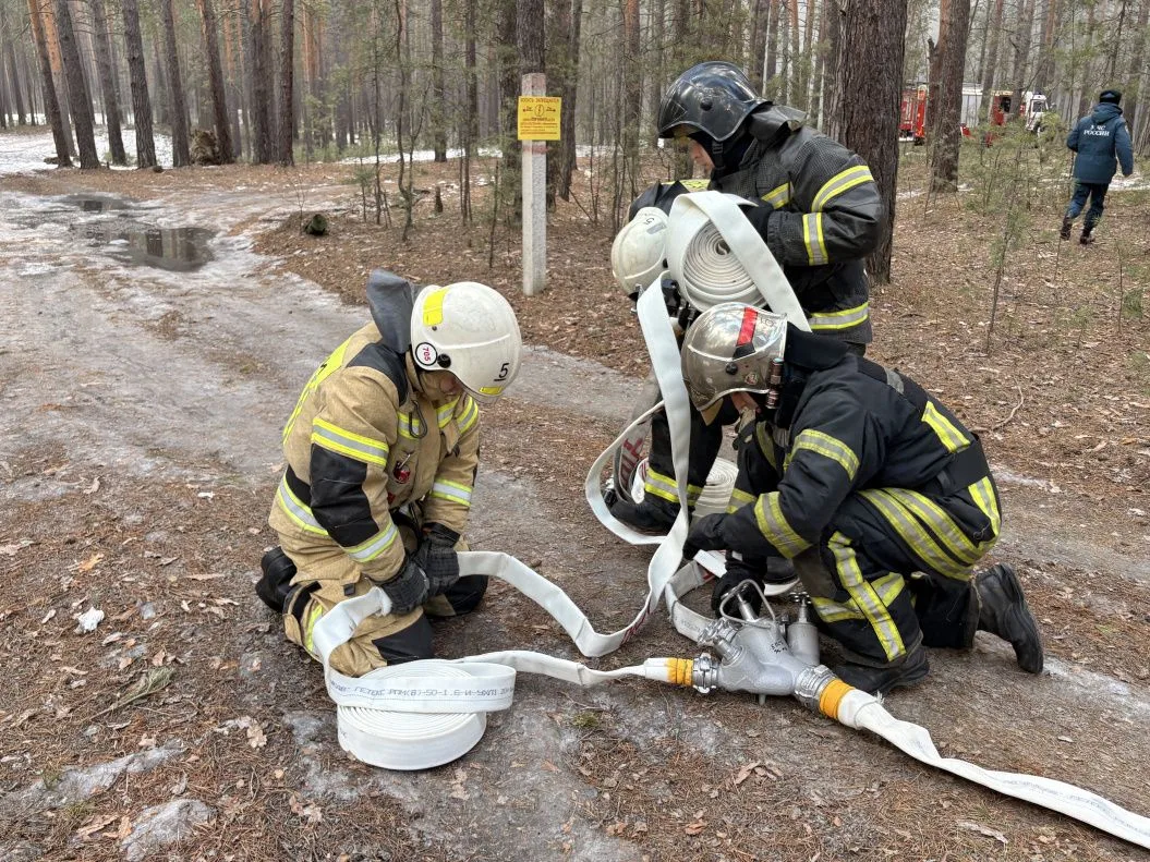 В Барнауле провели штабную тренировку по тушению лесных пожаров В Барнауле провели штабную тренировку по тушению лесных пожаров