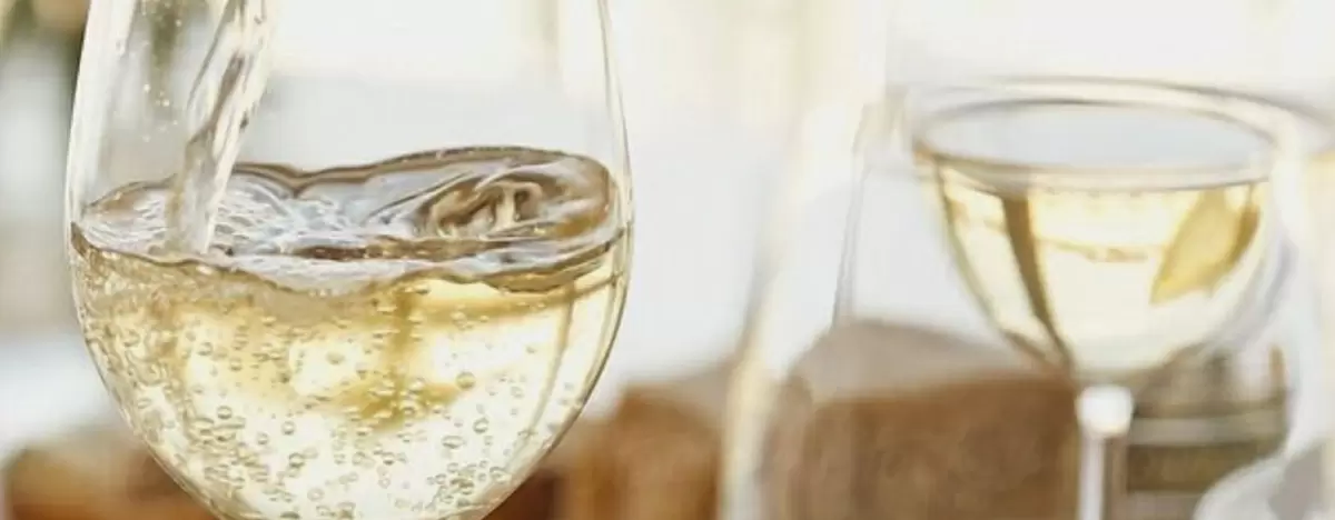 Очарование вин из сорта вионье: от юга Франции до России