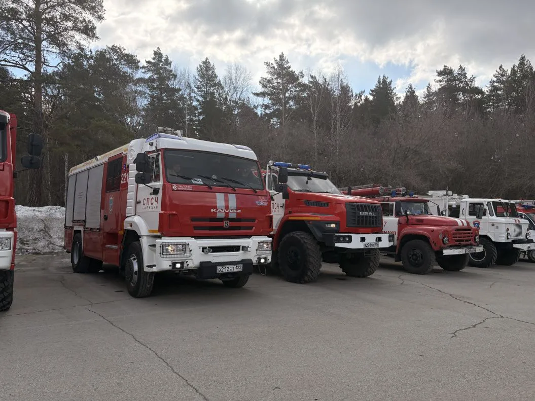 В Барнауле провели штабную тренировку по тушению лесных пожаров В Барнауле провели штабную тренировку по тушению лесных пожаров