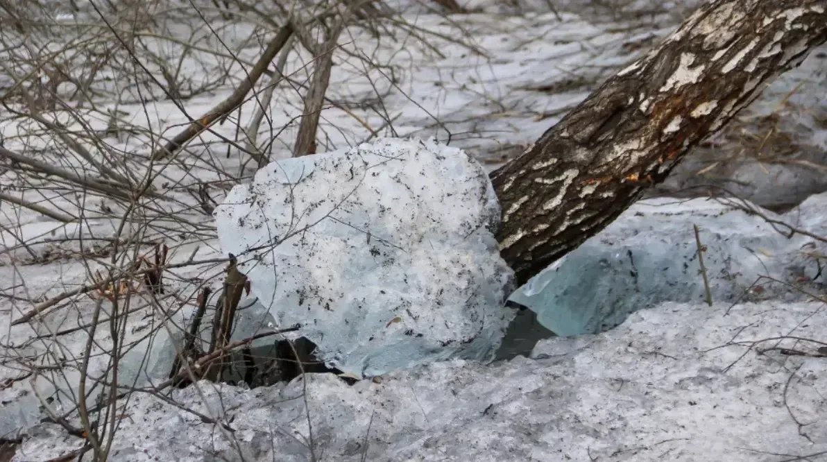 Лед и пернатые разведчики. Как "просыпается" озеро с уточками в новостройках Барнаула Лед и пернатые разведчики. Как "просыпается" озеро с уточками в новостройках Барнаула