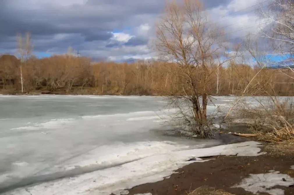 Лед и пернатые разведчики. Как "просыпается" озеро с уточками в новостройках Барнаула Лед и пернатые разведчики. Как "просыпается" озеро с уточками в новостройках Барнаула