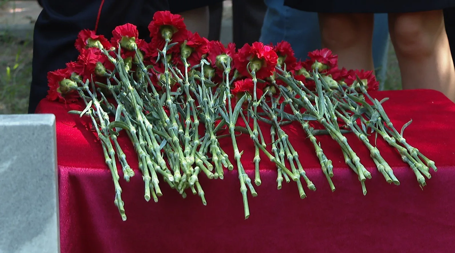 34 автобуса и 12 трамваев будут бесплатно перевозить барнаульцев в Родительский день