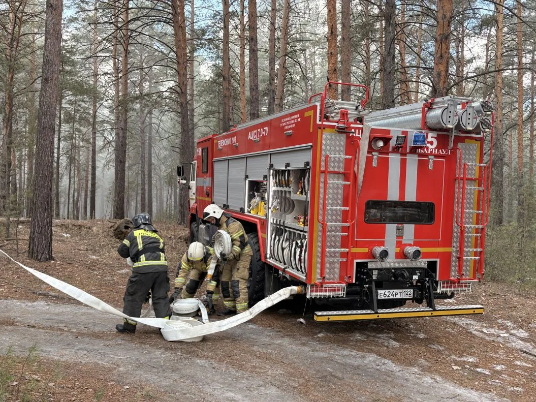 В Барнауле провели штабную тренировку по тушению лесных пожаров В Барнауле провели штабную тренировку по тушению лесных пожаров