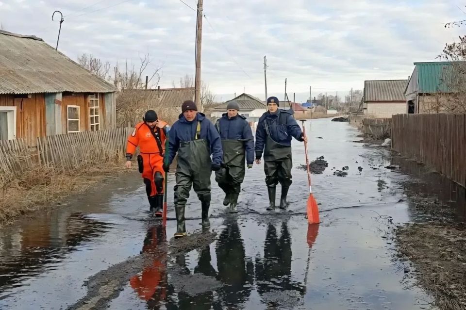 ��������� ���������� ���� ���������� ������ � ���� �������
