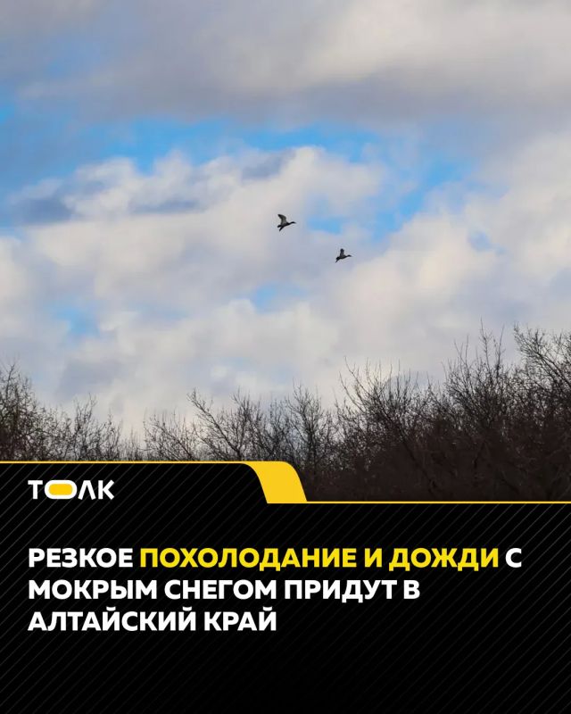 � ������� ��������� ���� � ��������� ���� ����������, ������� �� �������� ������������� ��������������