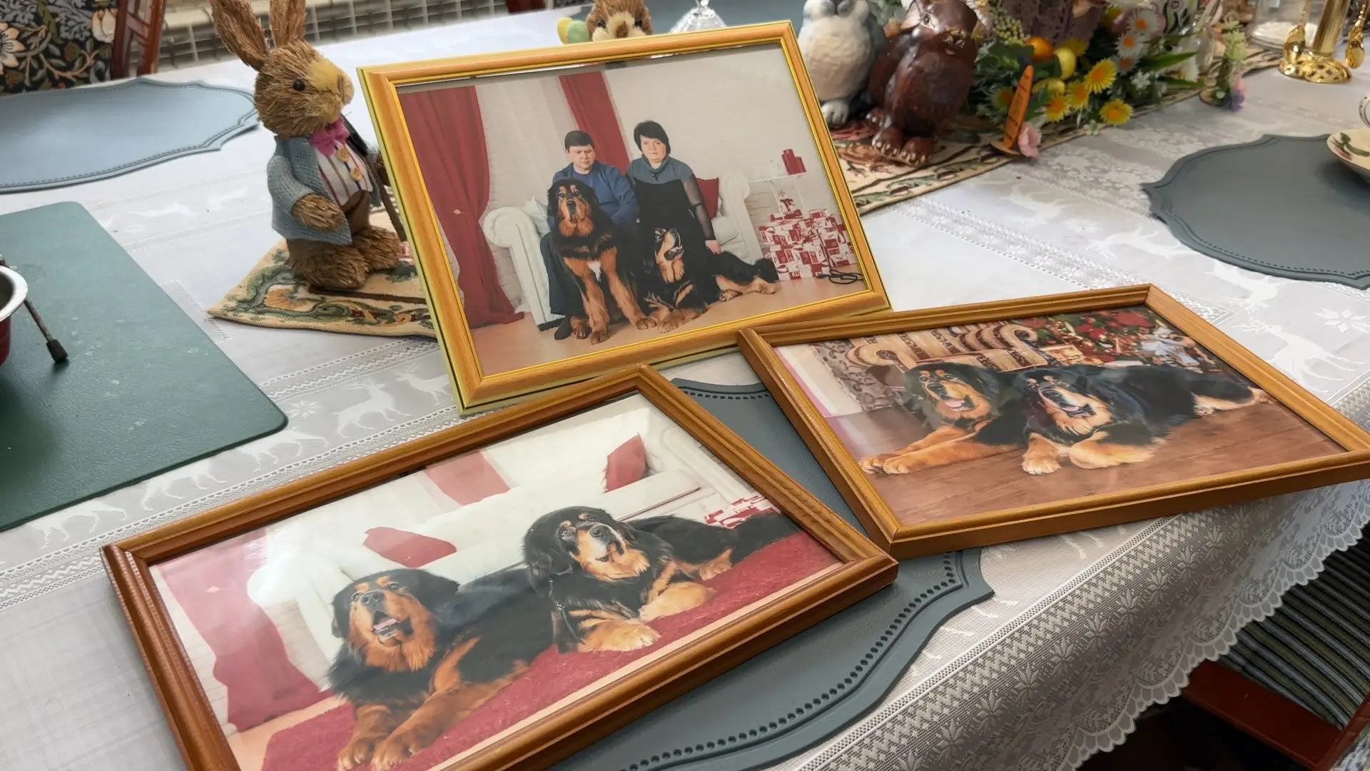 Педагог, строитель, дизайнер, коллекционер и волонтёр: как жительница Казённой Заимки Ольга Милькина совмещает необычные увлечения Педагог, строитель, дизайнер, коллекционер и волонтёр: как жительница Казённой Заимки Ольга Милькина совмещает необычные увлечения