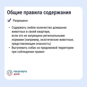 ��� ���������� ����� �� ��������� � �������� ���� ������ �� �����