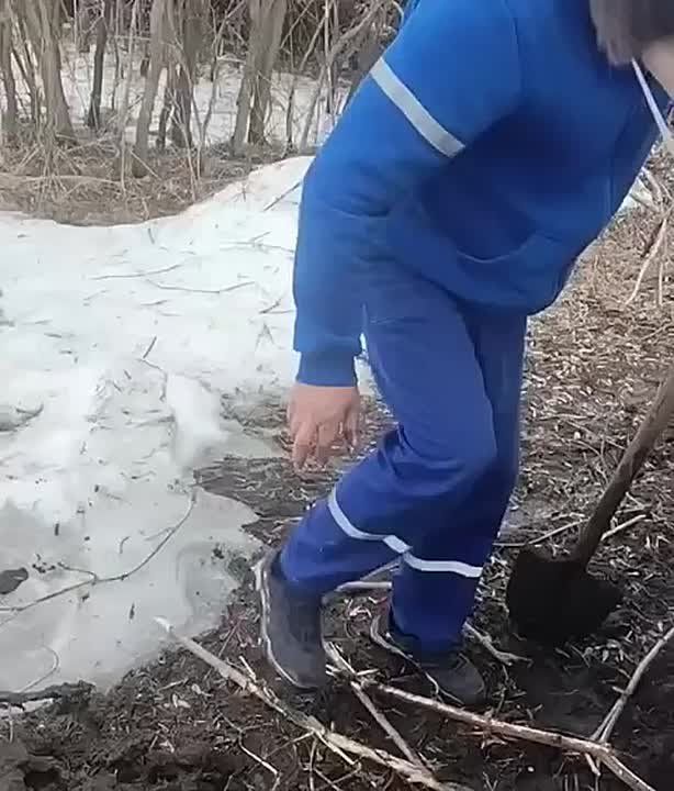 ���������� ������� ������ ������ ������� � �����